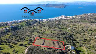 Αγροτεμάχια 4.100 τ.μ. για πώληση, Εύβοια, Στύρα-thumb-1