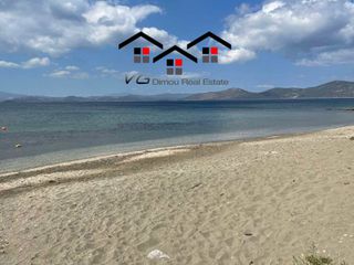 Αγροτεμάχια 4.100 τ.μ. για πώληση, Εύβοια, Στύρα-thumb-2