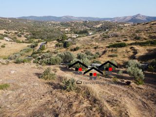 Αγροτεμάχια 4.300 τ.μ. για πώληση, Εύβοια, Στύρα-thumb-2