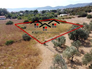 Αγροτεμάχια 2.100 τ.μ. για πώληση, Εύβοια, Στύρα-thumb-1