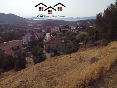 Οικόπεδο 4.700τ.μ. για πώληση-Στύρα