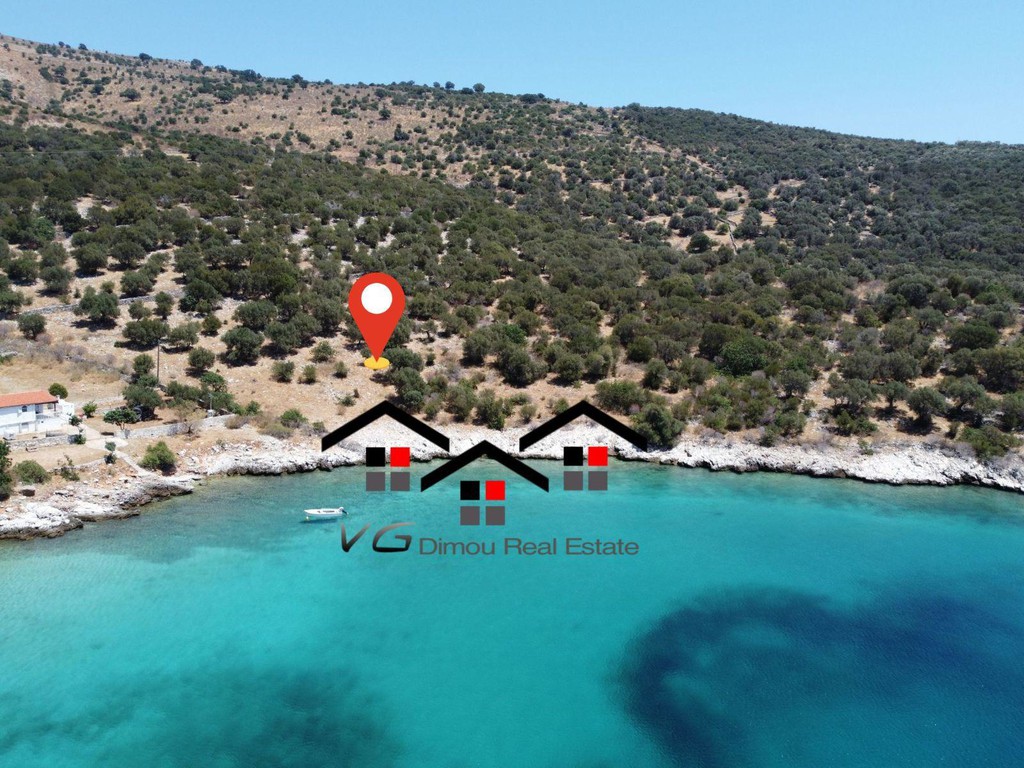 Αγροτεμάχια 14.500 τ.μ. προς πώληση, Μπούφαλο