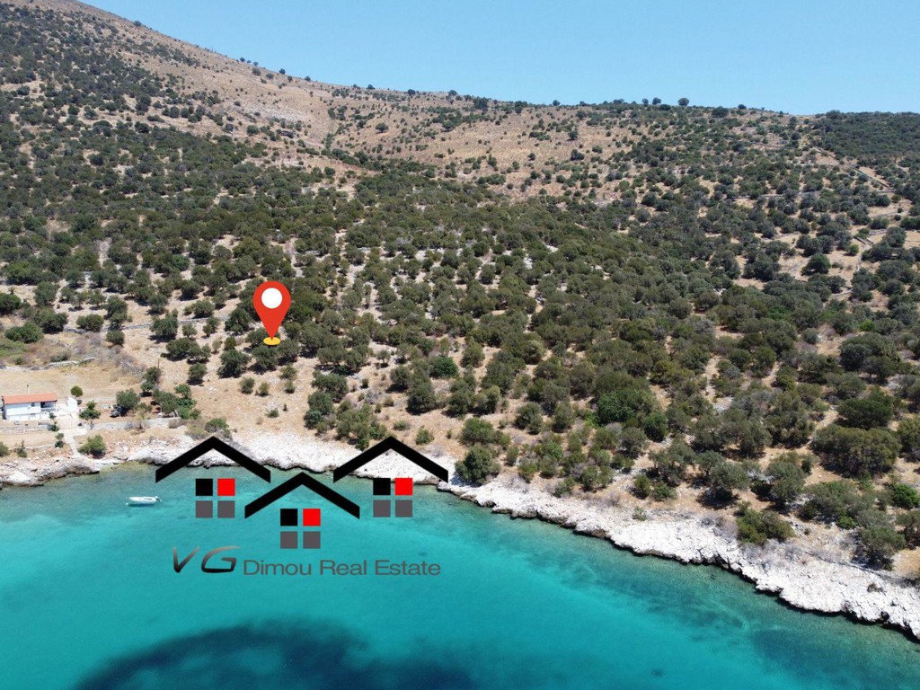 Αγροτεμάχια 14.500 τ.μ. προς πώληση, Μπούφαλο