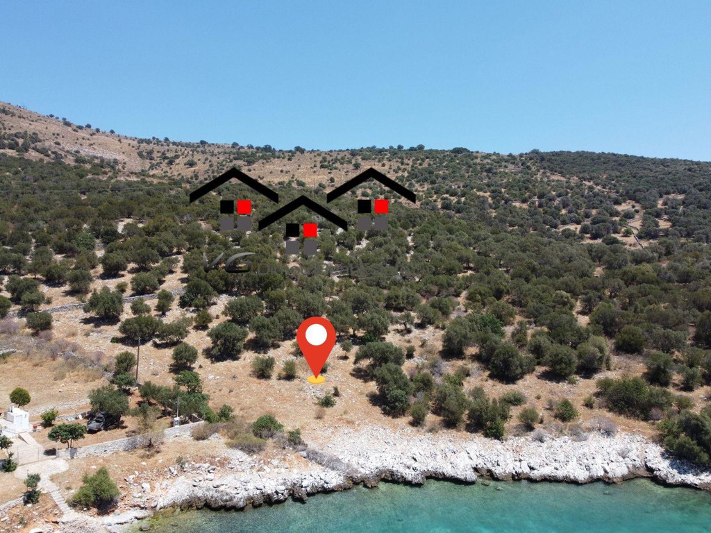 Αγροτεμάχια 14.500 τ.μ. προς πώληση, Μπούφαλο
