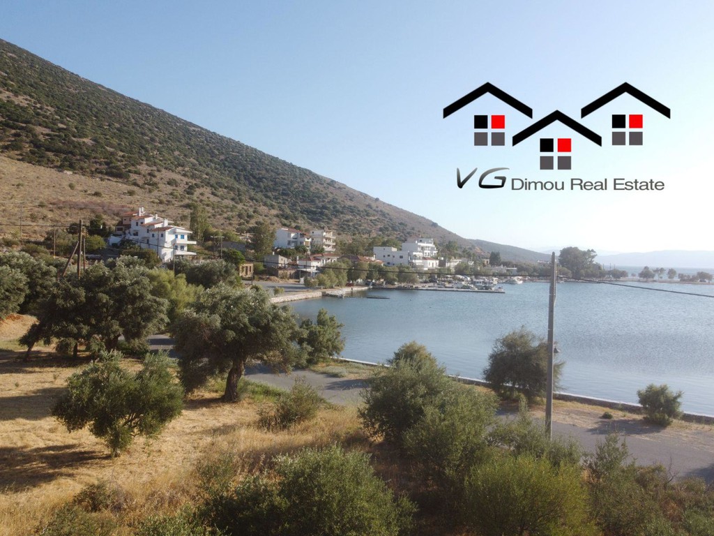Οικόπεδο 1.100 τ.μ. προς πώληση, Μπούφαλο