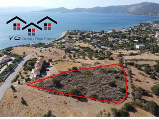 Αγροτεμάχια 4.200 τ.μ. για πώληση, Εύβοια, Στύρα-thumb-1
