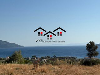 Αγροτεμάχια 4.200 τ.μ. για πώληση, Εύβοια, Στύρα-thumb-4