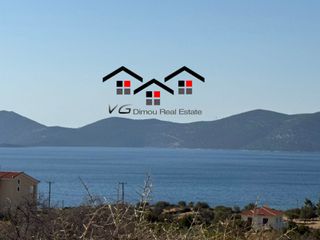 Αγροτεμάχια 4.200 τ.μ. για πώληση, Εύβοια, Στύρα-thumb-3