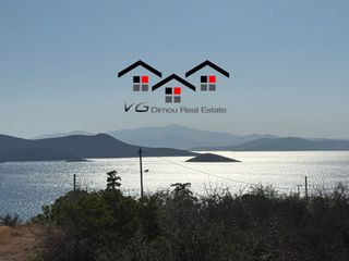 Αγροτεμάχια 4.200 τ.μ. για πώληση
