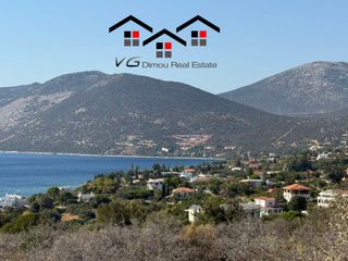 Αγροτεμάχια 4.200 τ.μ. για πώληση, Εύβοια, Στύρα-thumb-2