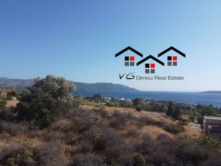 Αγροτεμάχια 4.200 τ.μ. για πώληση, Εύβοια, Στύρα-thumb-17