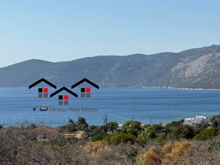 Αγροτεμάχια 4.200 τ.μ. για πώληση, Εύβοια, Στύρα-thumb-5