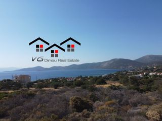 Αγροτεμάχια 4.200 τ.μ. για πώληση, Εύβοια, Στύρα-thumb-12