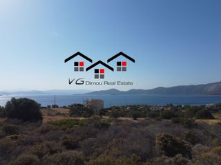 Αγροτεμάχια 4.200 τ.μ. για πώληση, Εύβοια, Στύρα-thumb-10