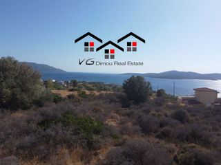 Αγροτεμάχια 4.200 τ.μ. για πώληση, Εύβοια, Στύρα-thumb-14