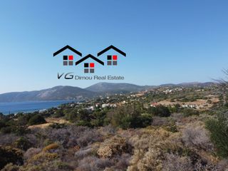 Αγροτεμάχια 4.200 τ.μ. για πώληση, Εύβοια, Στύρα-thumb-15
