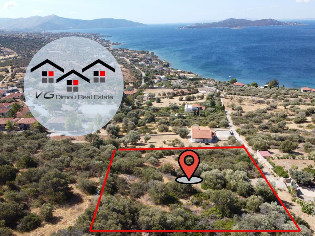 Αγροτεμάχια 4.074 τ.μ. για πώληση, Εύβοια, Στύρα