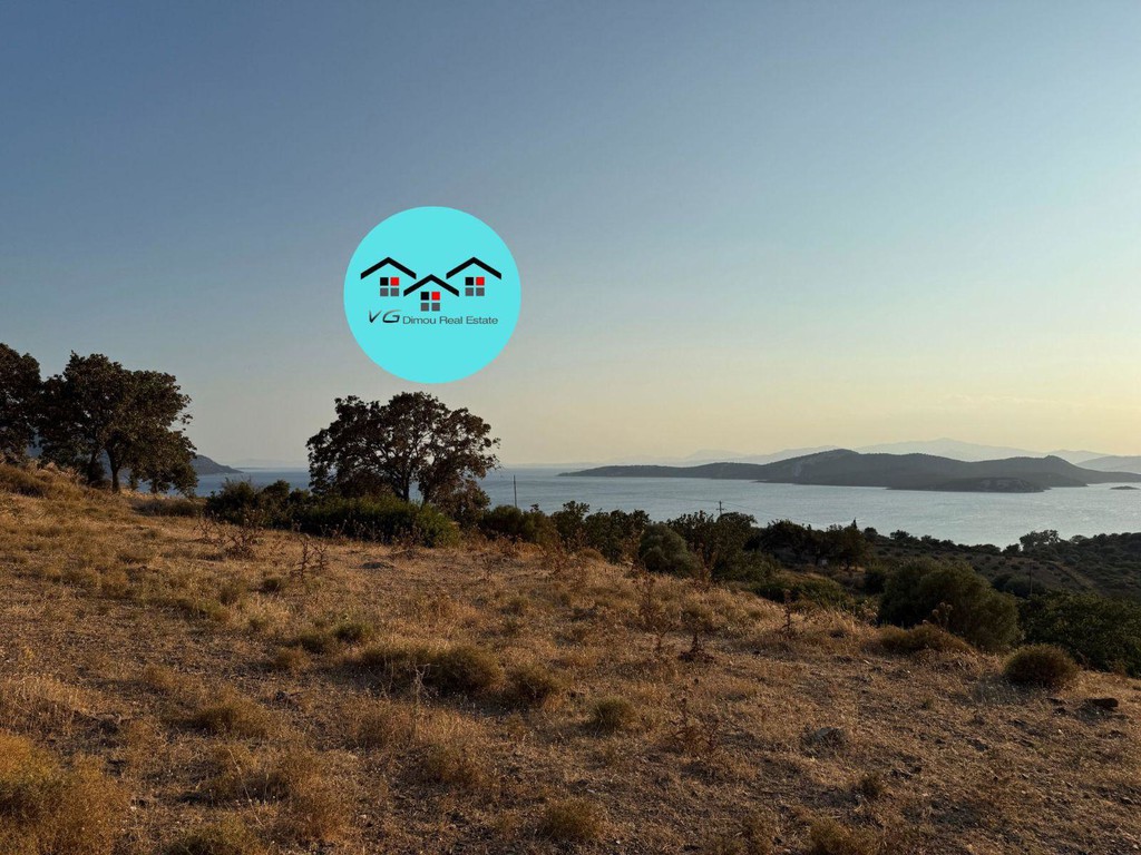 Αγροτεμάχια 4.000 τ.μ. προς πώληση, Νέα Στύρα