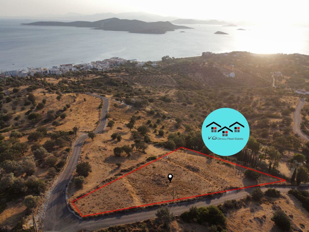 Αγροτεμάχια 4.000 τ.μ. προς πώληση, Νέα Στύρα