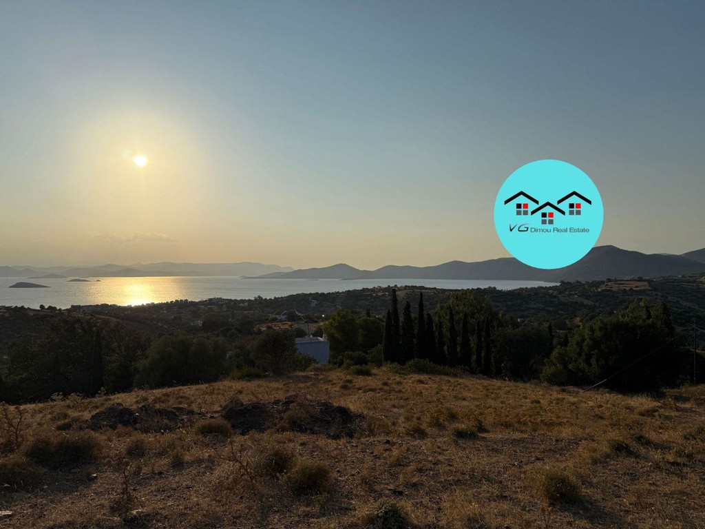Αγροτεμάχια 4.000 τ.μ. προς πώληση, Νέα Στύρα