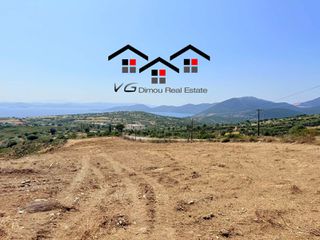 Αγροτεμάχια 6.800 τ.μ. για πώληση, Εύβοια, Στύρα-thumb-16