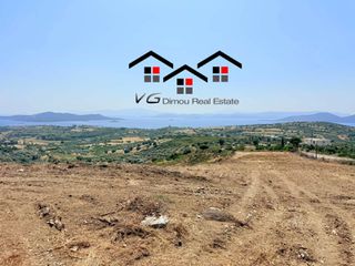 Αγροτεμάχια 6.800 τ.μ. για πώληση, Εύβοια, Στύρα-thumb-12