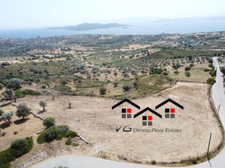 Αγροτεμάχια 6.800 τ.μ. για πώληση
