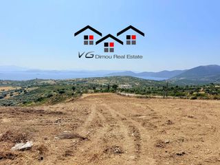 Αγροτεμάχια 6.800 τ.μ. για πώληση, Εύβοια, Στύρα-thumb-18