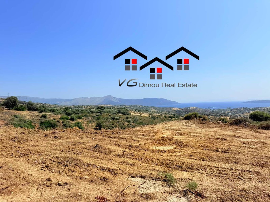 Αγροτεμάχια 6.800 τ.μ. προς πώληση, Δήλησο