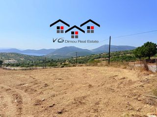 Αγροτεμάχια 6.800 τ.μ. για πώληση, Εύβοια, Στύρα-thumb-6