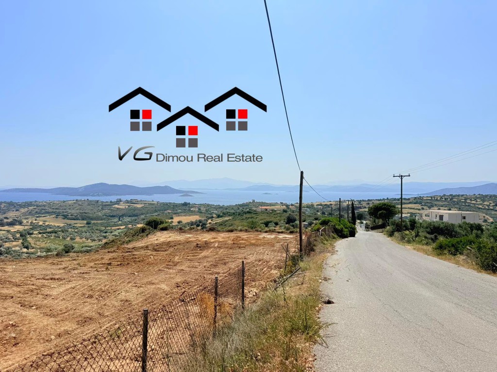 Αγροτεμάχια 6.800 τ.μ. προς πώληση, Δήλησο