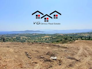 Αγροτεμάχια 6.800 τ.μ. για πώληση, Εύβοια, Στύρα-thumb-17