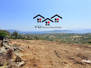 Αγροτεμάχια 6.800 τ.μ. για πώληση, Εύβοια, Στύρα-thumb-5