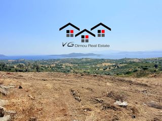Αγροτεμάχια 6.800 τ.μ. για πώληση, Εύβοια, Στύρα-thumb-7