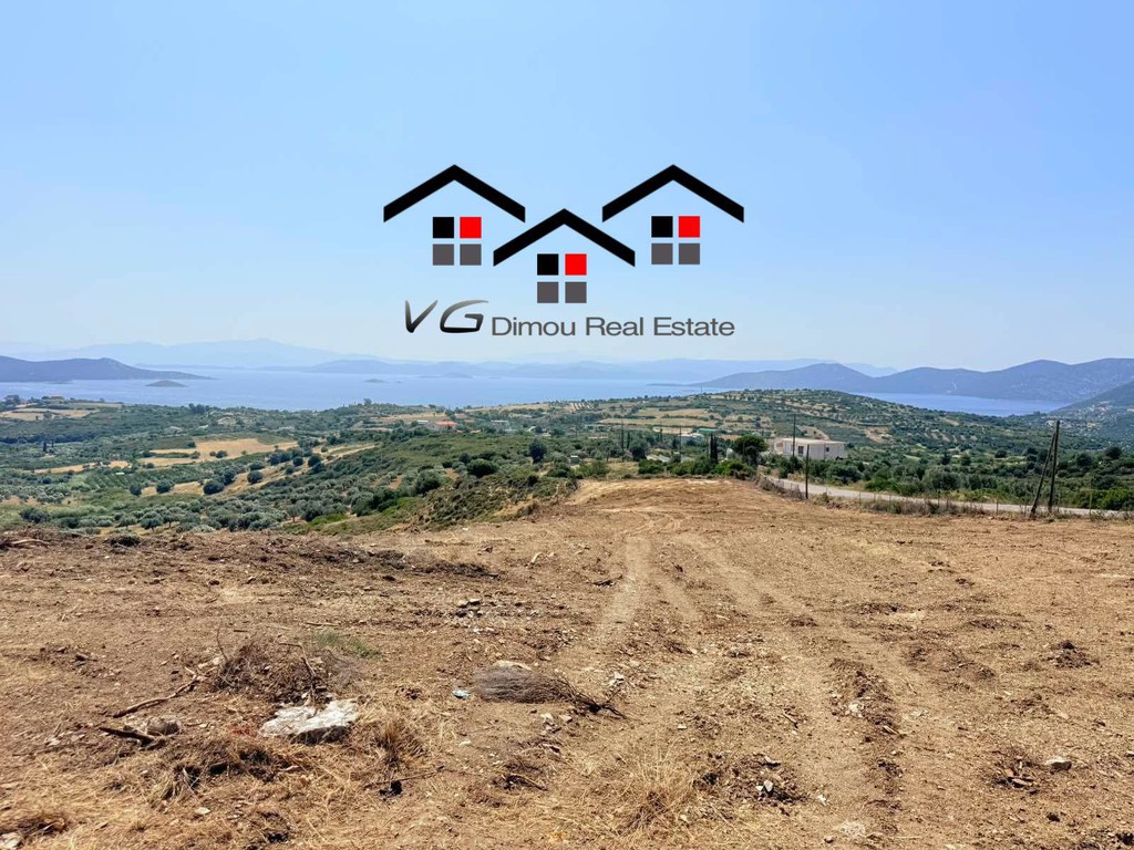 Αγροτεμάχια 6.800 τ.μ. προς πώληση, Δήλησο