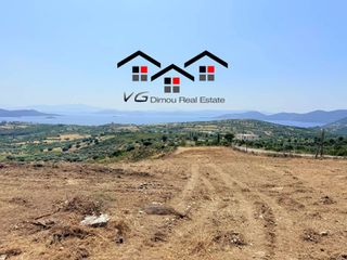 Αγροτεμάχια 6.800 τ.μ. για πώληση, Εύβοια, Στύρα-thumb-4