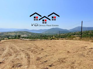 Αγροτεμάχια 6.800 τ.μ. για πώληση, Εύβοια, Στύρα-thumb-13