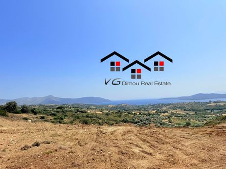 Αγροτεμάχια 6.800τ.μ. για πώληση-Στύρα