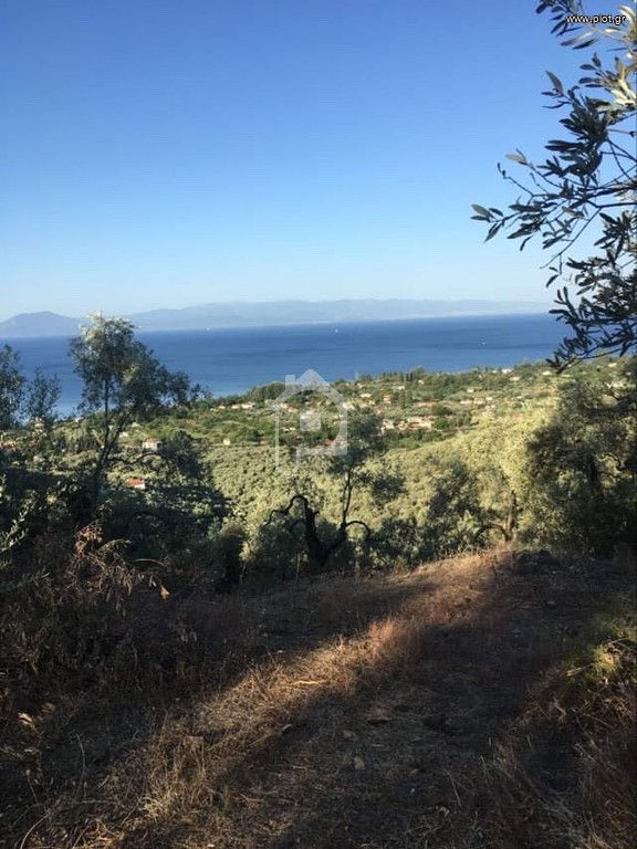 Αγροτεμάχια 11.000 τ.μ. πρός πώληση, Μαγνησία, Μηλιές