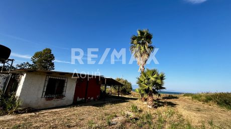 Μονοκατοικία 53τ.μ. για πώληση-Αλμυρός » Νέος πλάτανος