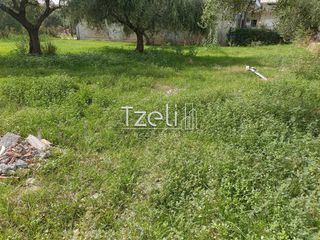 Αγροτεμάχια 14.850 τ.μ. για πώληση