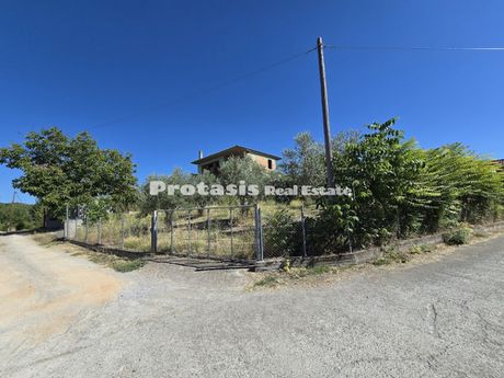 Detached home 250sqm for sale-Istiaia » Agios Georgios