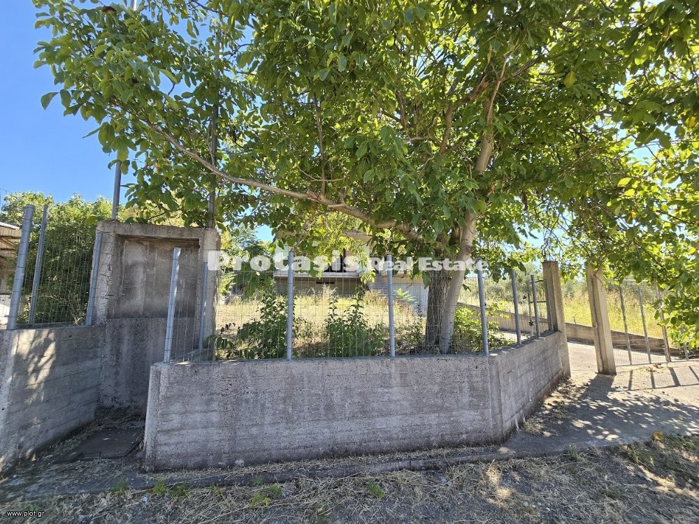 Μονοκατοικία 250 τ.μ. προς πώληση, Άγιος Γεώργιος Ιστιαίας