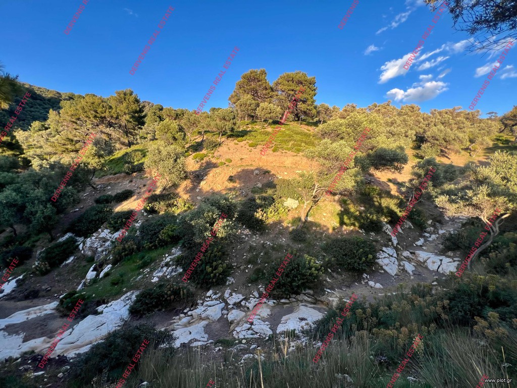 Οικόπεδο 4.108 τ.μ. πρός πώληση, Σποράδες, Σκιάθος
