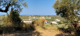 Αγροτεμάχια 1.600 τ.μ. για πώληση