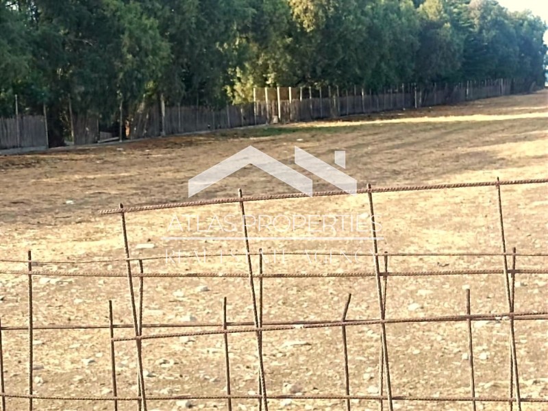 Οικόπεδο 5.416 τ.μ. προς πώληση, Ταυρωνίτης