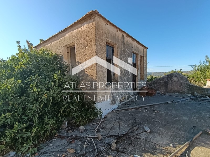 Μονοκατοικία 228 τ.μ. προς πώληση, Μάζα Κρυονερίδας