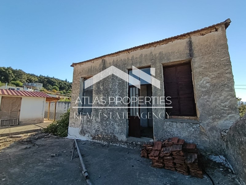 Μονοκατοικία 228 τ.μ. προς πώληση, Μάζα Κρυονερίδας