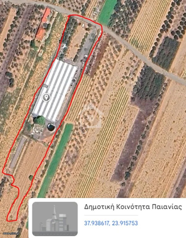 Αγροτεμάχια 10.000 τ.μ. προς ενοικίαση, Αθήνα - Ανατολικά Προάστια, Σπάτα