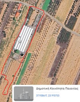 Αγροτεμάχια 10.000 τ.μ. για ενοικίαση